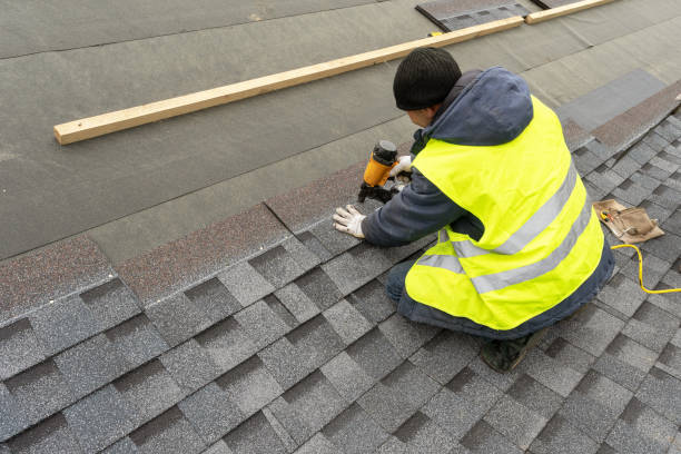 Best Gutter Installation and Roofing  in Meggett, SC