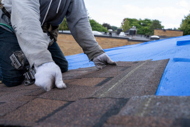Best Storm Damage Roof Repair  in Meggett, SC