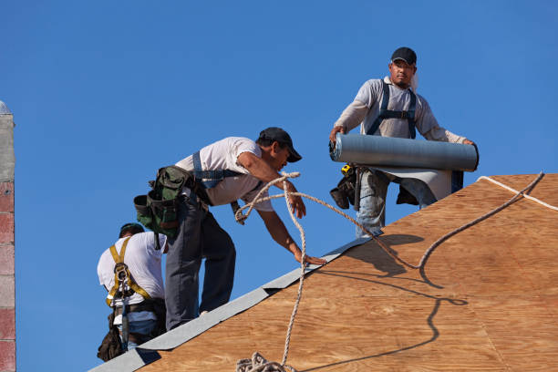 Best Roof Gutter Cleaning  in Meggett, SC
