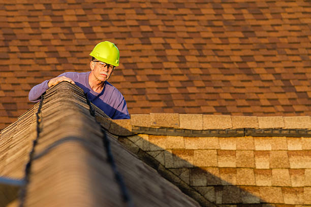Professional Roofing Contractor in Meggett, SC