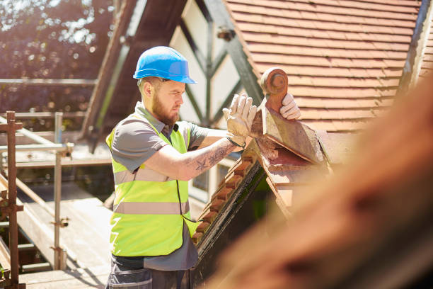 Roof Gutter Cleaning in Meggett, SC